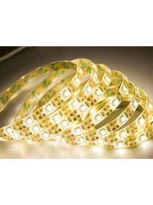 Mikasso Dış Mekan Silikonlu Günışığı Şerit LED CT-4488