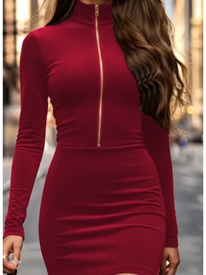 Alyn Wear Kadın Uzun Kollu Balıkçı Yaka Yakadan Göğüse Kadar Fermuar Detaylı Mini Kadife Elbise