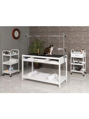 Veteriner Pet Bakım ve Muayene Masası | PROBED-6006