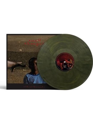 Plak Dolabı Michael Kiwanuka – Small Changes (Green Marble Vinyl) (LP) Plak (Sıfır - Kapalı Ambalaj)