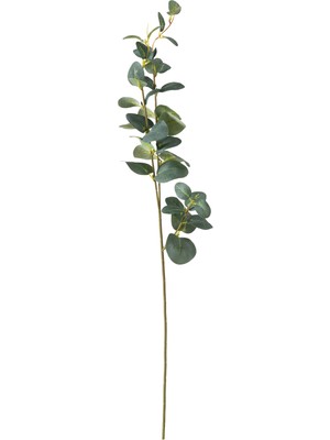 Mudo Home AURA DAL ÇİÇEK 70 CM