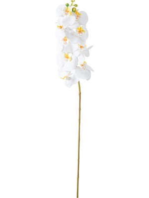 Mudo Home ORKİDE DAL ÇİÇEK BEYAZ 92 CM
