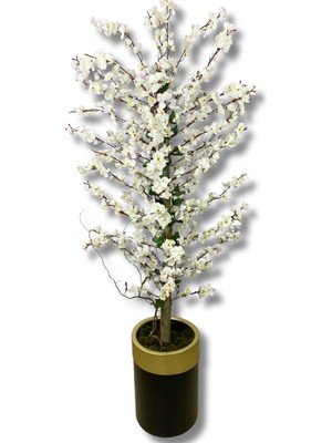 Cihan Çiçekçilik Beyaz Bahar Dalı 180 Cm 30x25 Gold Kemerli Siyah Saksı