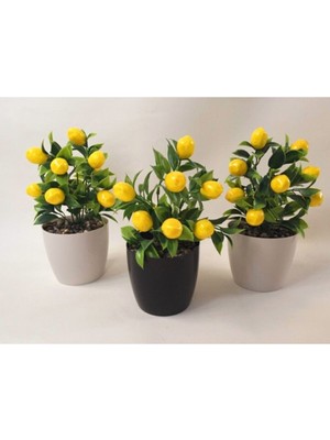 Cihan Çiçekçilik Yeşil Sarı Limon Ağacı 3'lü Set 15