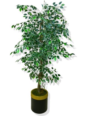 Cihan Çiçekçilik FİCUS 160 CM YAPAY AĞAÇ 30x25 GOLD KEMERLİ SAKSI