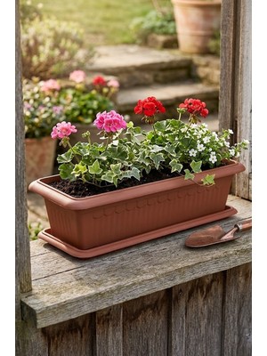 Effe Home Antik Diktörtgen Bahçe Balkon Saksısı 1 Adet