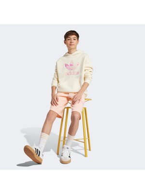 Adidas Hoodie Genç Çocuk Bej Sweatshirt