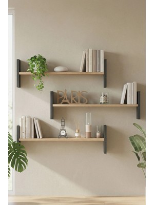 Shelf 23 Duvar Rafı Sepet-Antrasit WL23-SA