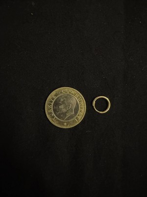 Sarezza Gold Iç Içe Geçmeli Altın Halka Küpe Tek