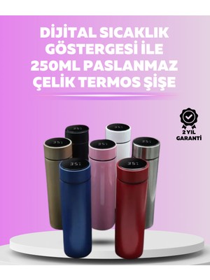 LED Sıcaklık Ölçerli 250 ml Yalıtımlı Termos Şişe