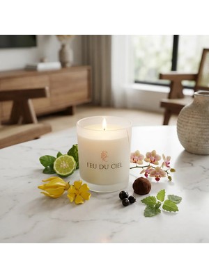 Feu Du Ciel Premium Light Pillars Ylang Ylang Kokulu Mum 150 gr