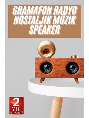 İlanib Ticaret Gramafon Nostaljik Radyo Yüksek Ses Kalitesi USB Tf Kart Aux