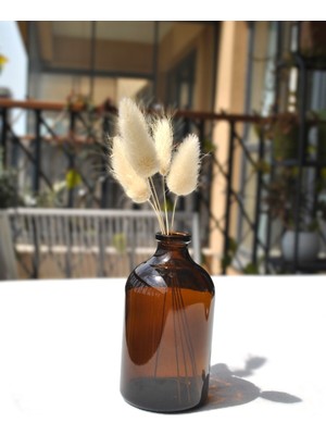Qualitev 1 Adet Mini Vazo Amber Cam Dekoratif Minimal Cam Şişe 100 ml Iskandinav Kahverengi Vazo Seti