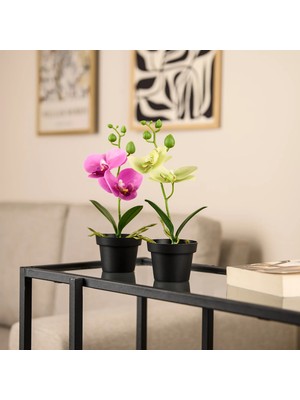 Kpm Saksılı Yapay Orkide - Asorti - 13X10X25 cm