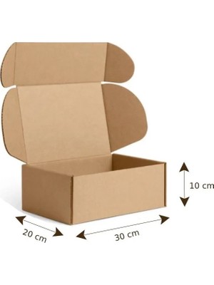 30x20x10 cm E Dalga E-Ticaret Karton Kutu , Kargo Kutusu 1 Adet