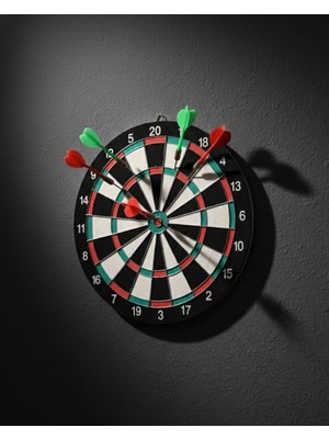Renklime 17 Inç Dart Tahtası Sağlam Ahşap Gövde ve Metal Iğneli Dart Okları