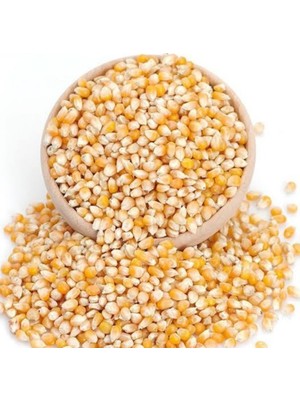 Karakız Cin Mısır Patlak Dökme 250 Gr