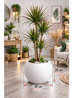 Can Botanik 20 cm Küre Saksı Beyaz Dekoratif Modern Plastik Saksı | Balkon Salon Ofis Uyumlu Şık Tasarım Yuvarlak Saksı