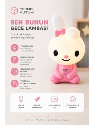 teknokutum Masa Üstü Sevimli Melody USB LED Gece Lambası
