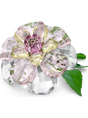 Swarovski Florere Kamelya