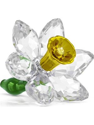 Swarovski Florere Nergis
