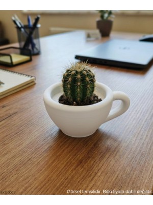 Ulu Pazarlama Beyaz Mini Dekoratif Fincan Şeklinde Saksı 6 cm Masa Üstü Ofis Ev Dekoru