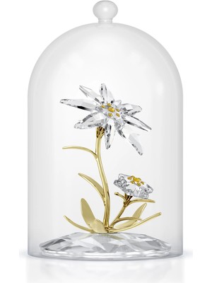 Swarovski Florere 130. Yildönümü Cam Fanus