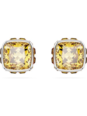 Swarovski Birthstone Düğme Küpe Kare Kesim Kasim Sari Rodyum Kaplama
