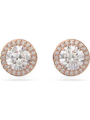 Swarovski Constella Stud Pave Küpe Beyaz Pembe Altin Rengi Kaplama