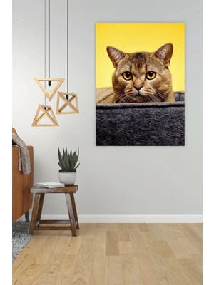 Şehzat Eyeball Cat Dekoratif Kanvas Tablo