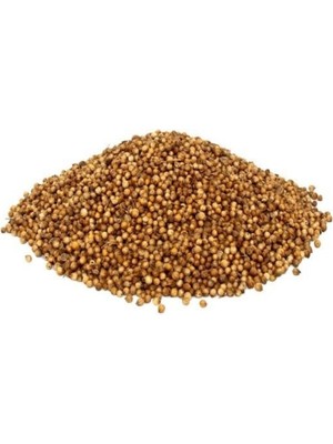Karakız Kinzi Tane (Kişniş) Dökme 750 Gr