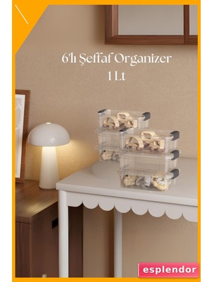Esplendor 1 Litre Şeffaf Plastik Saklama Kutusu 6 Parça Düzenleyici 12X17X8 cm