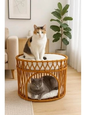 Die Grup Iki Katlı Modern Kedi Yatağı, Rahat ve Şık Kahverengi Tasarım