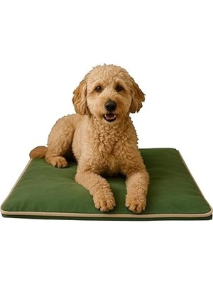 Die Grup 40 x 60 cm Kışın Isıtıcı Yazın Serinletici Kedi ve Köpek Matı