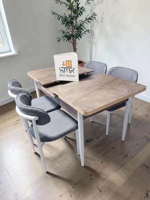 Msy Home 4 Kişilik Lina 80*130 Gordiyon Açılır Masa Sandalye Seti (Modern Seri)Beyaz Iskelet