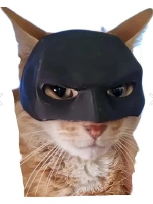 Die Grup Sevimli Kedi Maskesi, Eğlenceli Aksesuar