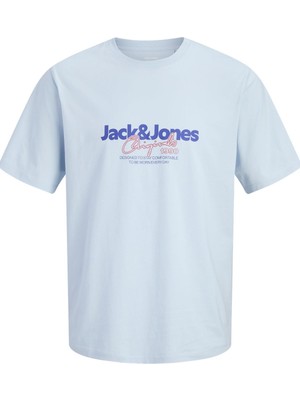 Jack & Jones Jorcassıs Erkek Tişört Bisiklet Yaka Kısa Kollu Rahat Günlük