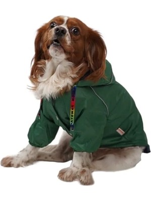 Die Grup Küçük Irk Köpekler Için Yeşil Polar Yağmurluk