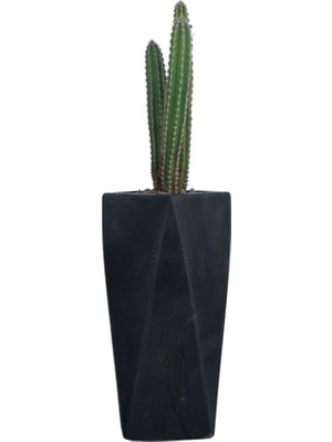 Pearl Shop Saksı Büyük Saksı Çiçek Saksısı Büyük Boy Saksı Salon Saksısı Model 15 Siyah Saksı, Esaksımodel1