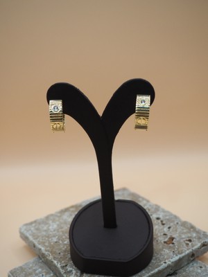 Stelle Jewelry Gold Renk Zirkon Taşlı Çelik Halka Küpe