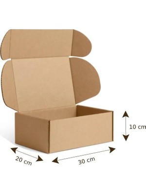 Mege Tasarım 30X20X10 cm 100 Adet E Dalga E-Ticaret Karton Kutu , Kargo Kutusu, Kilitli Kutu