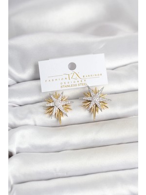 Butik Zirkon Taşlı Pirinç Kutup Yıldızı Gold ve Gümüş Renk Kadın Küpe