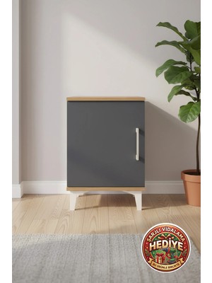 Silva Komodin 2 Raflı Tek Kapaklı 44X30X64 Çam-Antrasit | Modern Depolama Çözümü