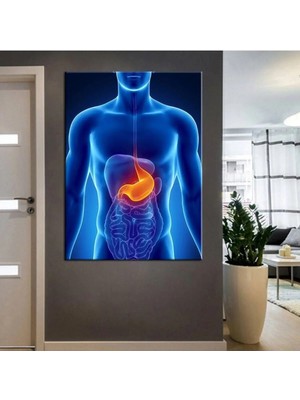 Şehzat Poliklinik Klinik Hastane Dekorasyonu Medikal Hastane Tabloları Hst-83