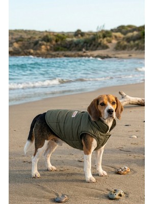 Zendog Haki Yeşil Şişme Köpek Yeleği - Su Geçirmez Rüzgar Kesici Outdoor Köpek Montu