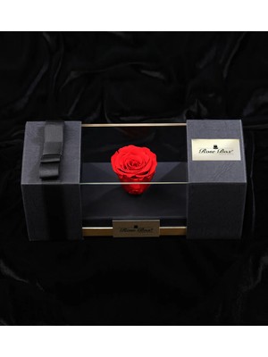 Çiçeek Kırmızı Solmayan Gül