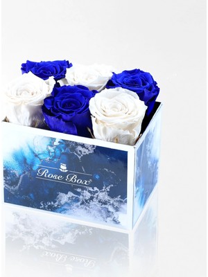 Çiçeek Sea Blue 6 Mavi Beyaz Solmayan Gül