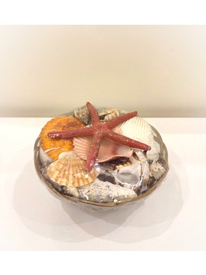 Antioch Art and Design Dekoratif Deniz Yıldızlı Deniz Kabuklu Sepet Masa Üstü Dekoratif Süs Sepet Hediyelik Eşya