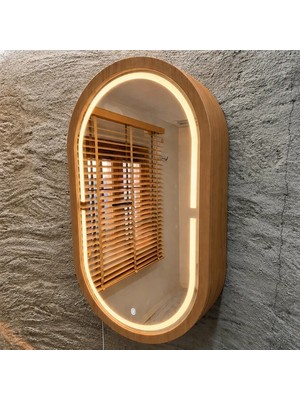 Aypars Atölye 30X53X12 cm 3000K Günışıklı LED Dimmable Banyo Aynası Dolaplı – Modern Duvar Tipi Oval Tasarım (Tik)