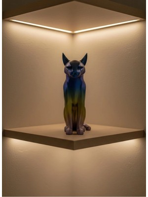 Pileli Store Koyu Rainbow Kedi
